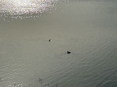 -青龙湖公园