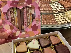 -Laderach 莱德拉(上海环贸iapm店)