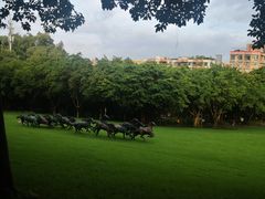 -广州雕塑公园
