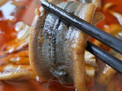 水煮鳝片-新天厨酒家(二分店)
