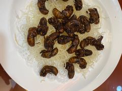 -赵记煎饼卷大葱(东岳店)