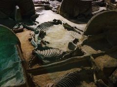 -洛阳周王城天子驾六博物馆