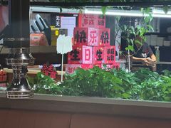 -猫爪爪原切自助烤肉(观音桥阳光世纪店)
