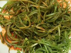 -黄金牧场(明洞总店)
