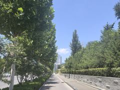-日照海滨国家森林公园