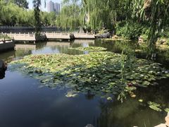 -文瀛公园