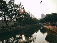 -晓港公园