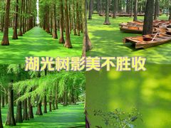 -渌洋湖湿地公园