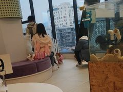 -怪兽屋·羊驼·猫咖·狗咖(俊华广场店)