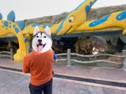 -宝燕乐园(闵行旗舰店)