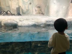 -南昌海洋公园