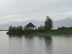 -哈素海