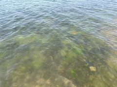 -丁香湖公园