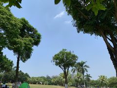 -东莞植物园