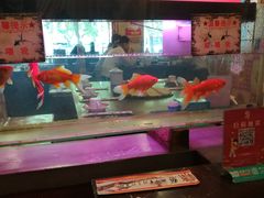 大堂-粗粮人家·东北菜(洋桥店)