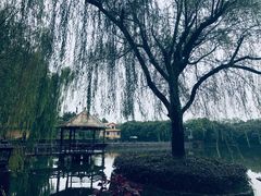 -天赐温泉