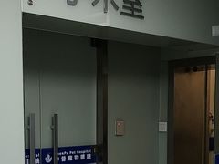 -申普宠物医院·心脏介入·心血管微创(总院)