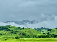 -新疆那拉提国家旅游度假区