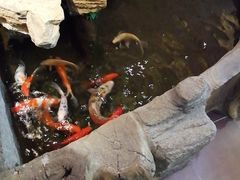 -鸥迪足道(湖南示范店)