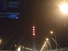 -杭州湾海上花田景区