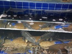 -聚百鲜海鲜烧烤私房菜(韩乐坊店)