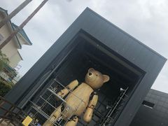 -济州岛泰迪熊博物馆