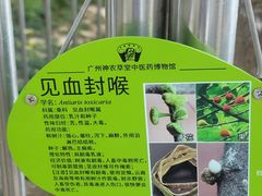 -广州神农草堂中医药博物馆