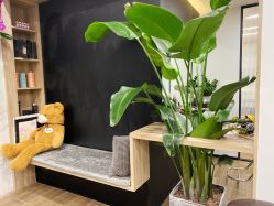 大厅-Garden花園造型