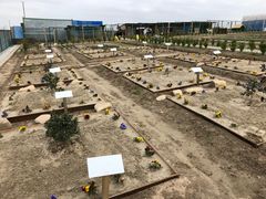 -上海崇明金茂凯悦酒店