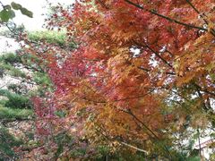 -香山公园-东宫门售票处