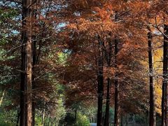 -午潮山国家森林公园