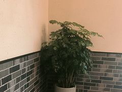 -杭州湖滨in77