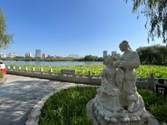 -莲花池公园