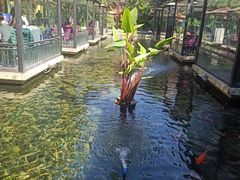 -鹅公村·国家非遗传承(荔湾店)