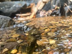 -羚羊峡古栈道森林公园