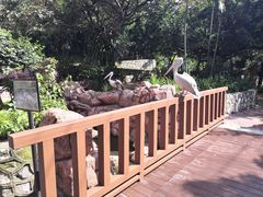 -吉隆坡雀鸟公园