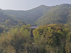 -大唐贡茶院