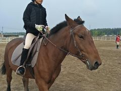 -月河湾马术俱乐部(朝阳店)