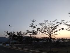 -亚龙湾国际玫瑰谷