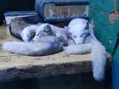 -大连圣亚海洋世界