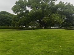 -江心屿景区