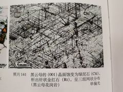 -中国地质大学图书馆