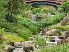 -云溪植物园