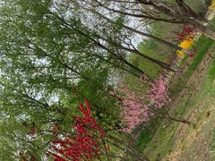-东郊湿地公园