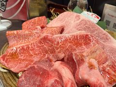 -俺的焼肉(銀座9丁目店)