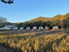 -紫海香堤香草艺术庄园