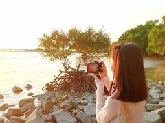 -宝安西湾红树林湿地公园