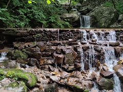-青峰峡国家森林公园