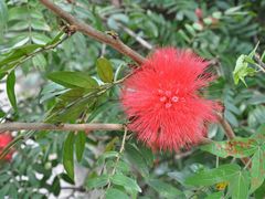 -红色娘子军纪念园