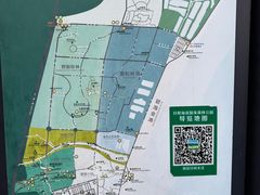 -日照海滨国家森林公园